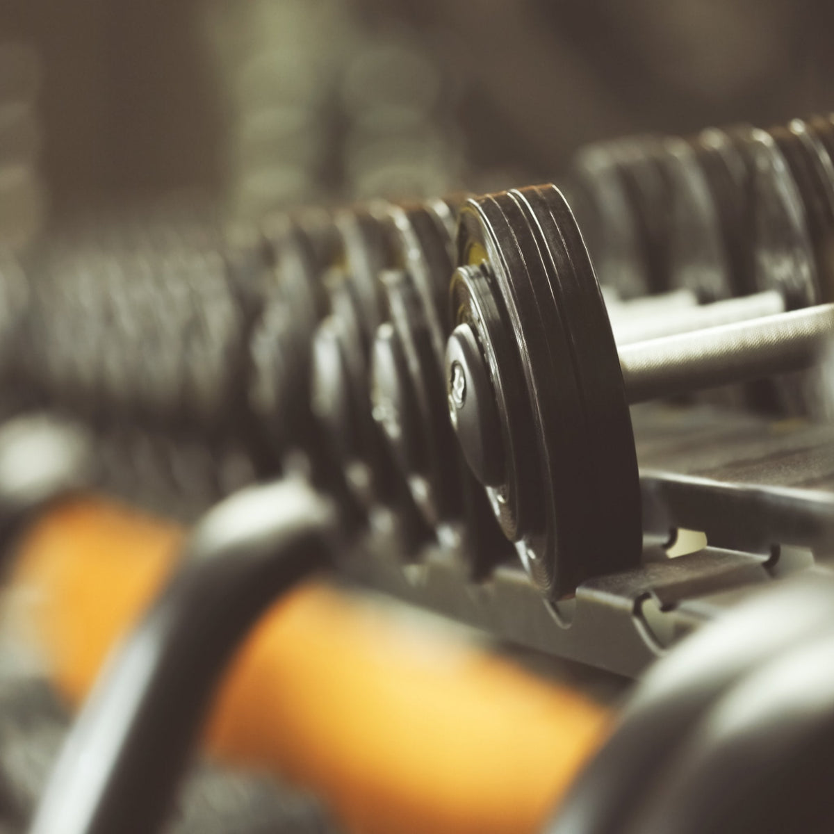 Gym Racks - KEFL