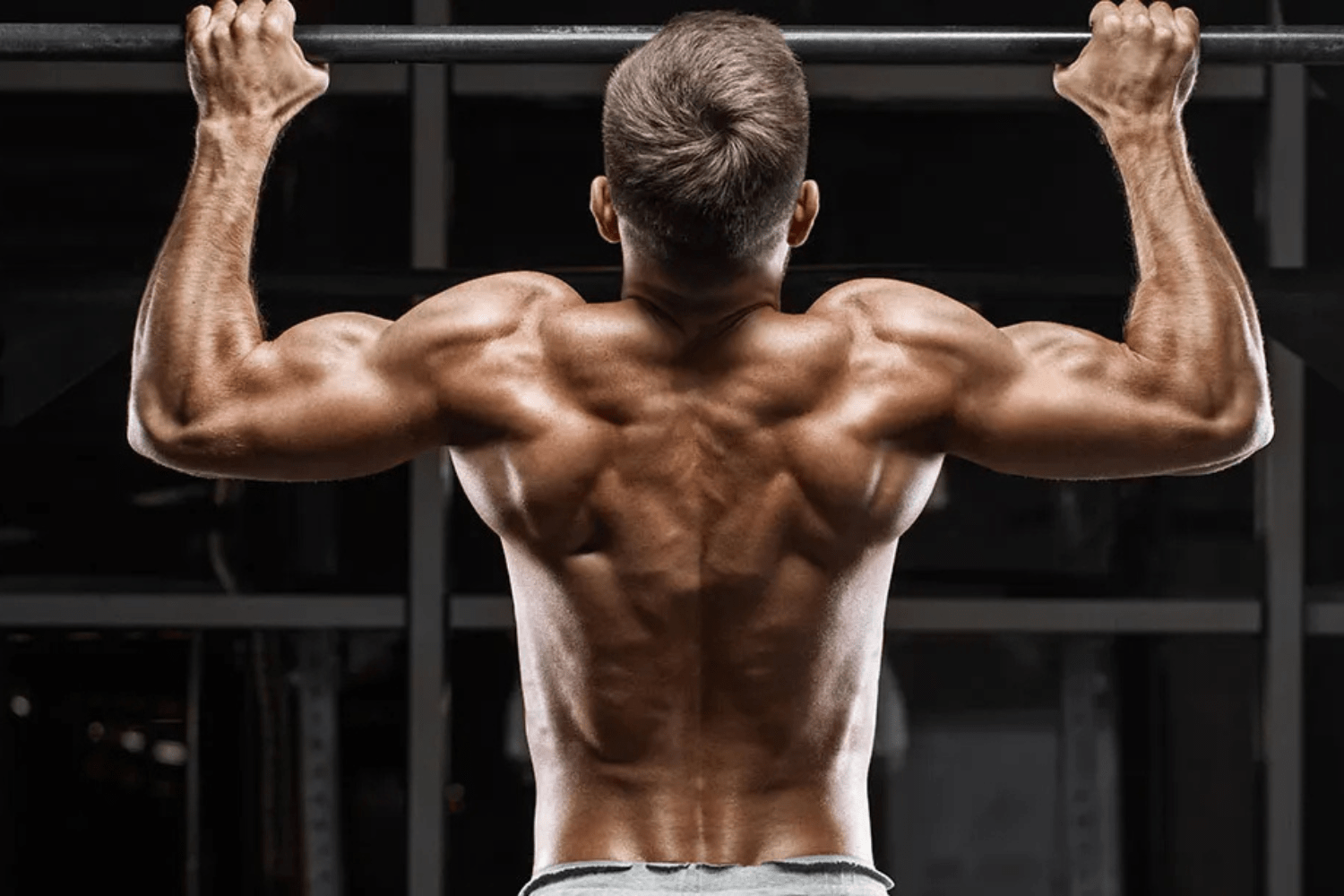 What Does the Lat Pulldown Work? Why This Exercise Is Essential for a Strong Back - KEFL