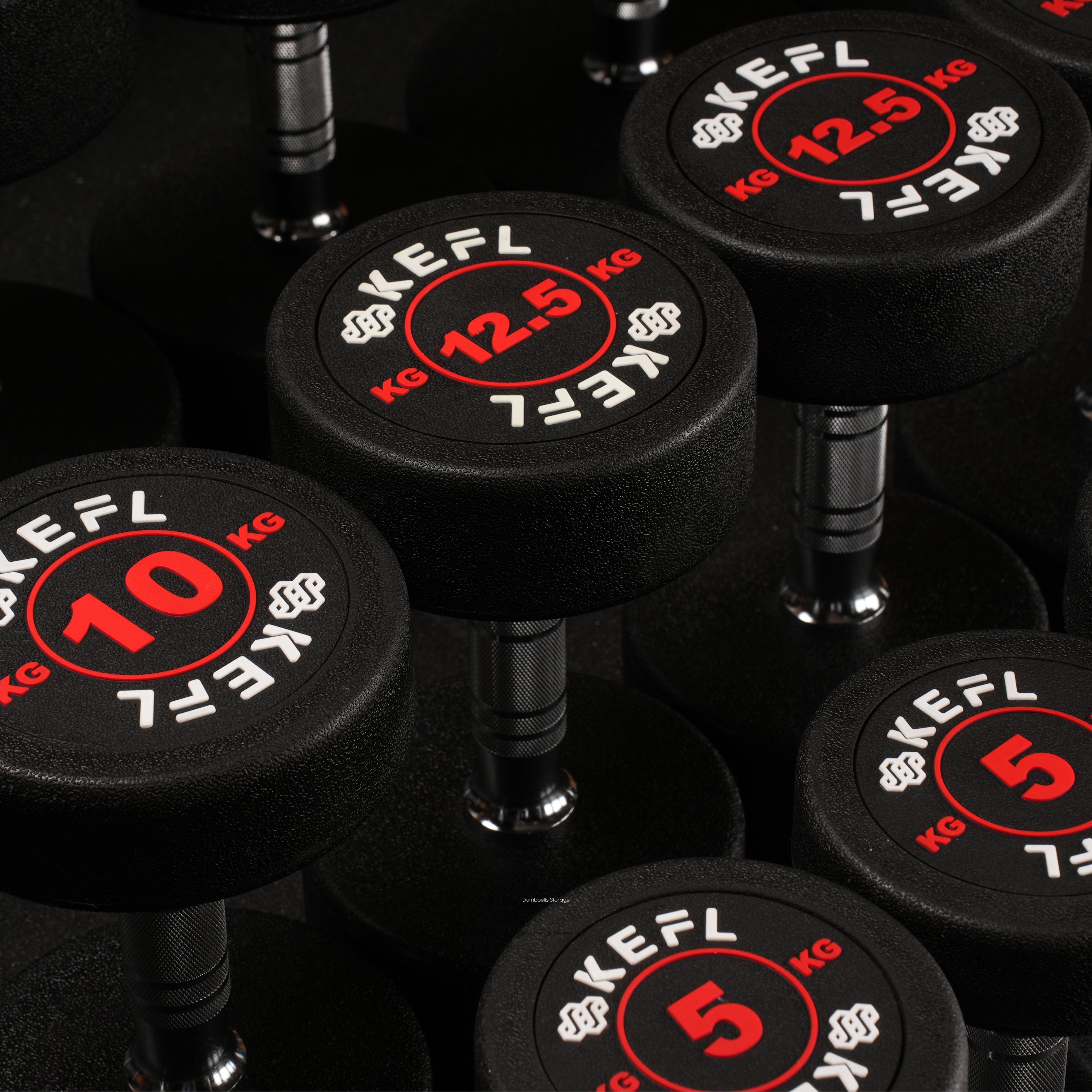 Dumbbells for Every Fitness Level | KEFL