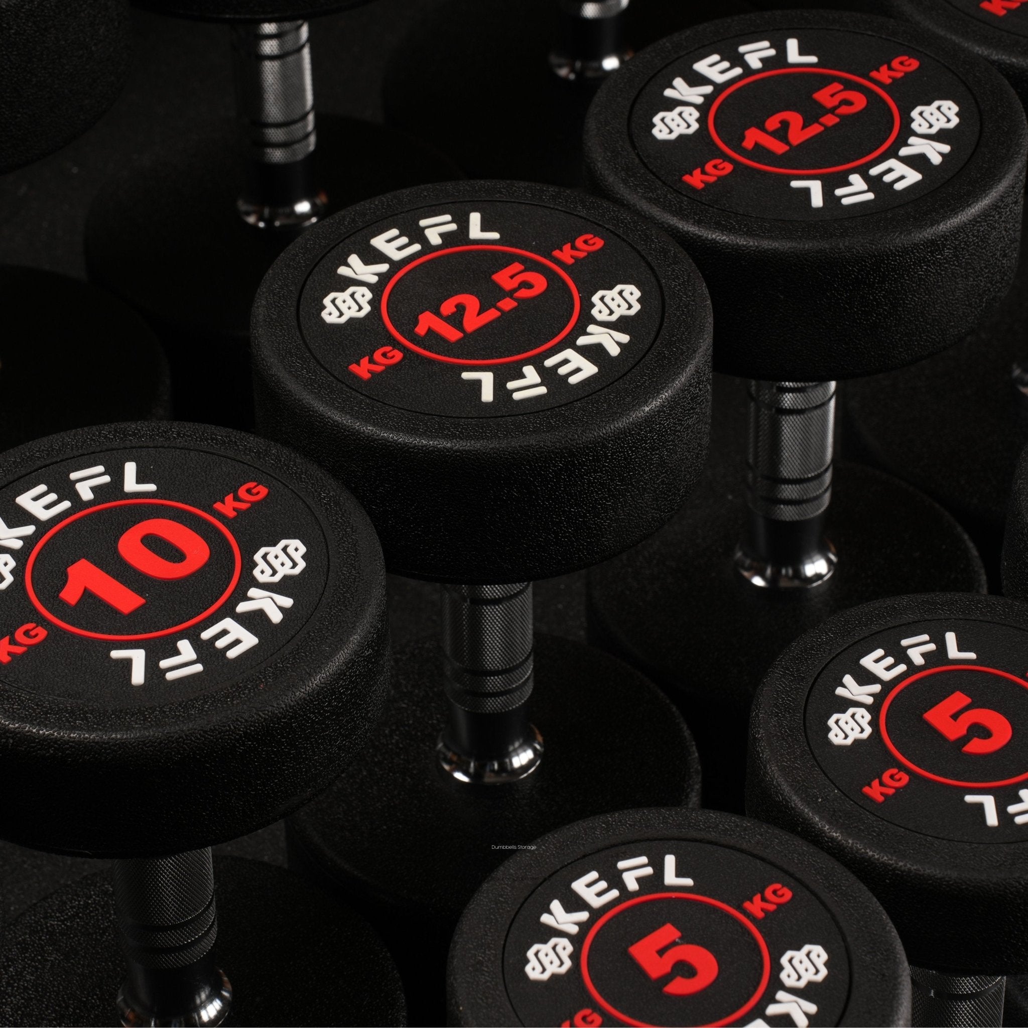 Dumbbells for Every Fitness Level - KEFL