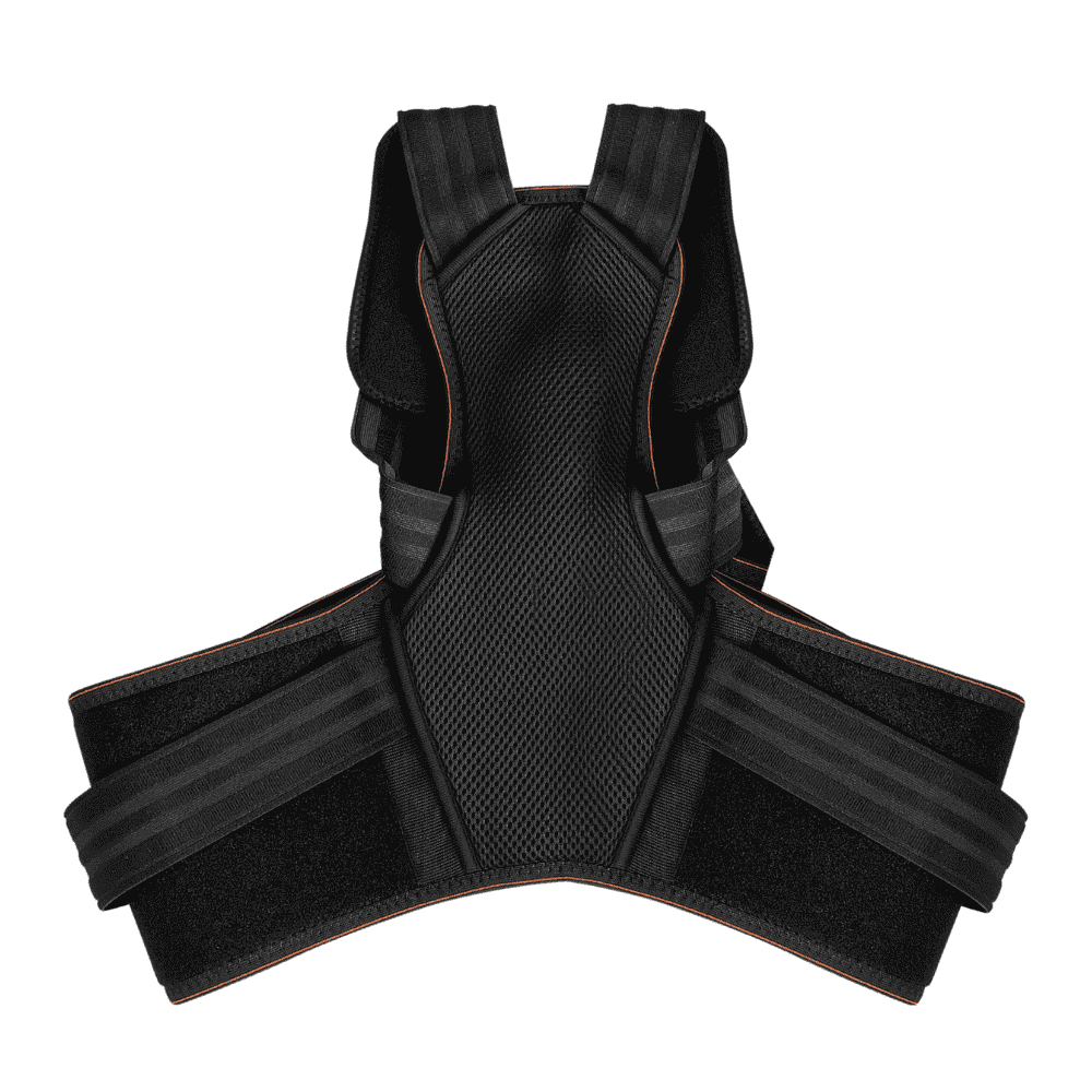 Back support for posture