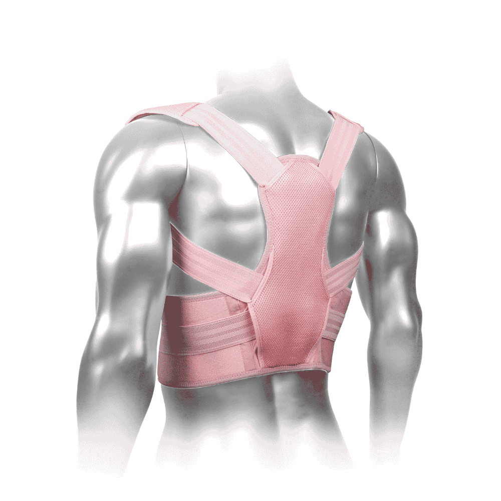 Back support for posture