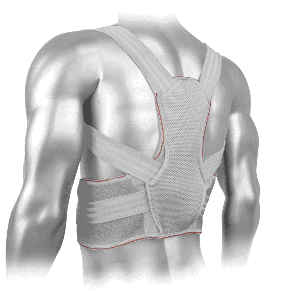 Back support for posture