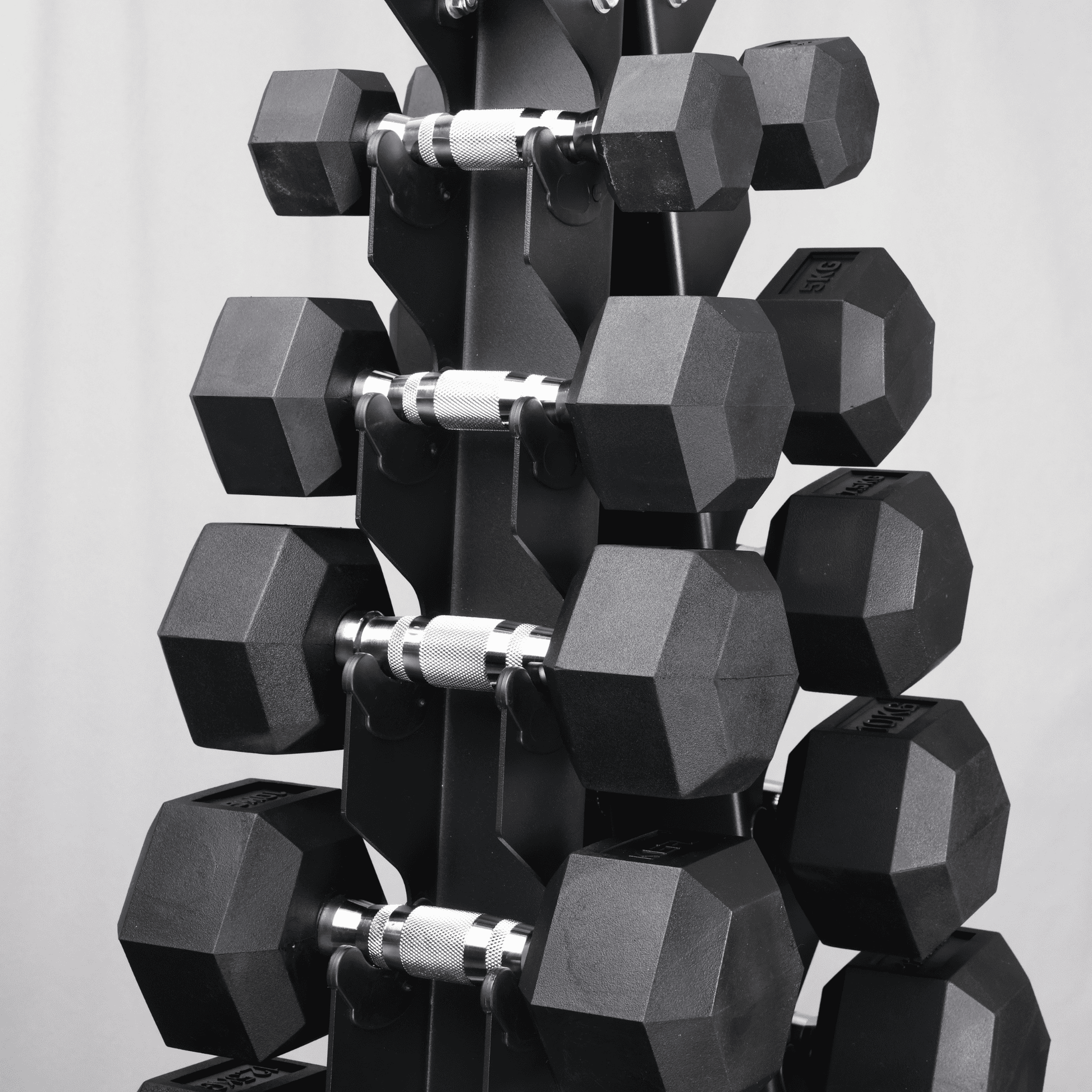 KEFL 10 Pair Vertical Dumbbell Rack