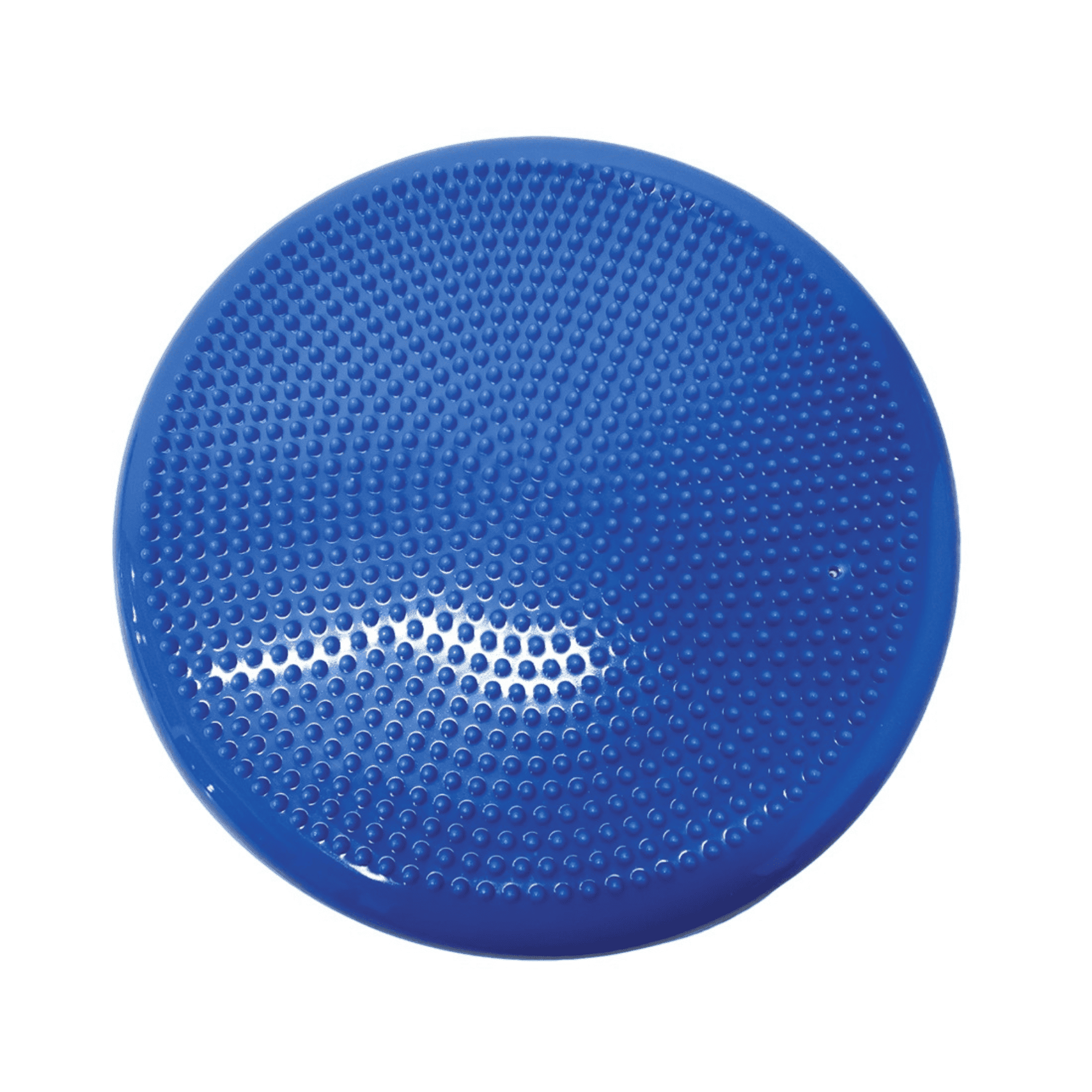 KEFL Balance Cushion in Blue with Pump