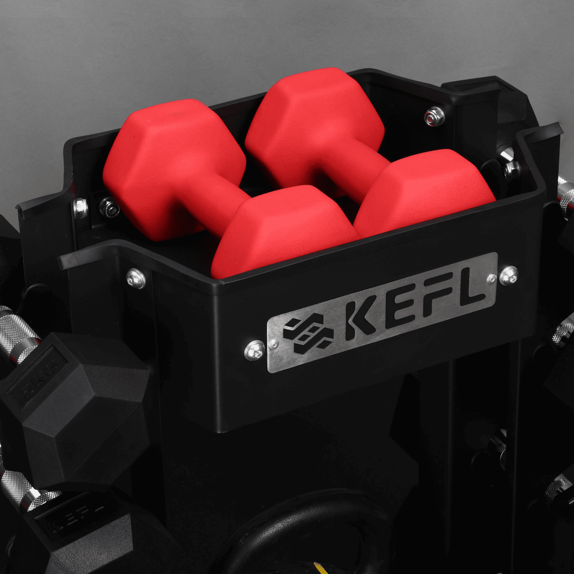 KEFL Dumbbell and Kettlebell Storage Rack